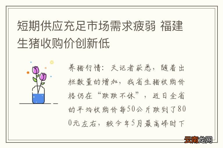 短期供应充足市场需求疲弱 福建生猪收购价创新低