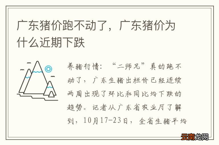 广东猪价跑不动了，广东猪价为什么近期下跌