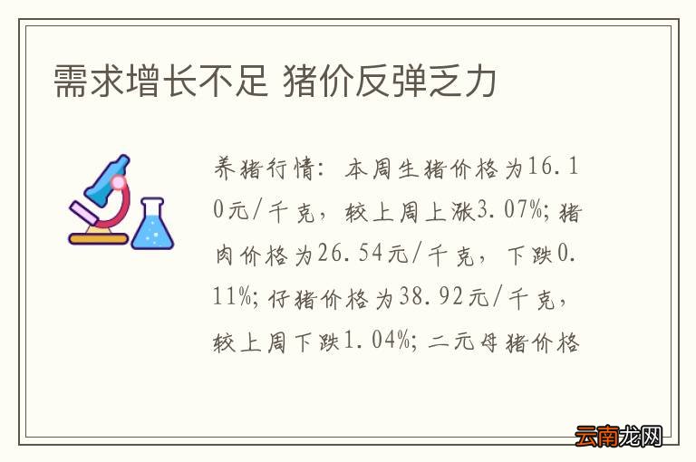 需求增长不足 猪价反弹乏力