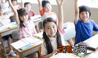 鸡雏什么意思，小鸡雏什么意思