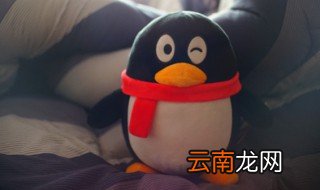 最新版qq怎么发闪照 最新版qq怎么发闪照规定时间