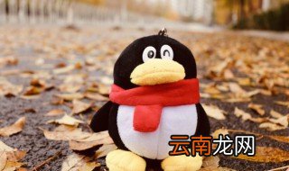 QQ空间怎么去广告 qq空间的广告怎么找
