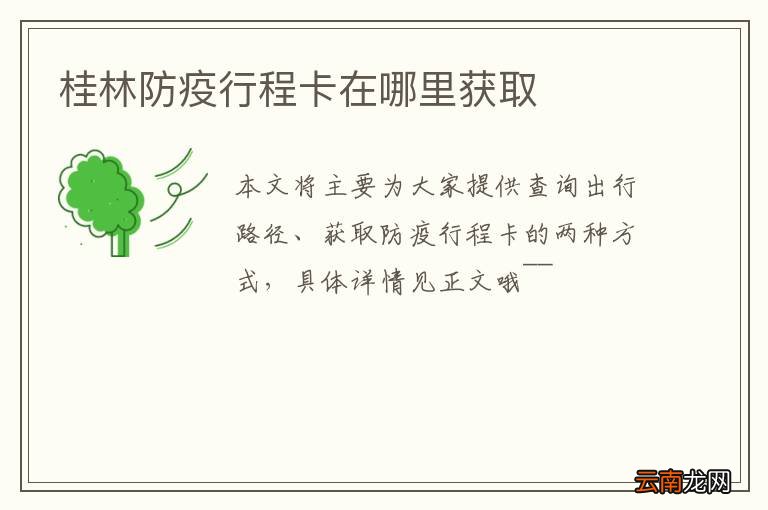 桂林防疫行程卡在哪里获取