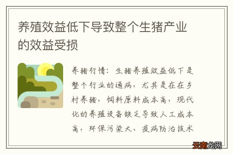 养殖效益低下导致整个生猪产业的效益受损