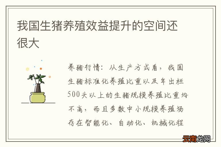 我国生猪养殖效益提升的空间还很大