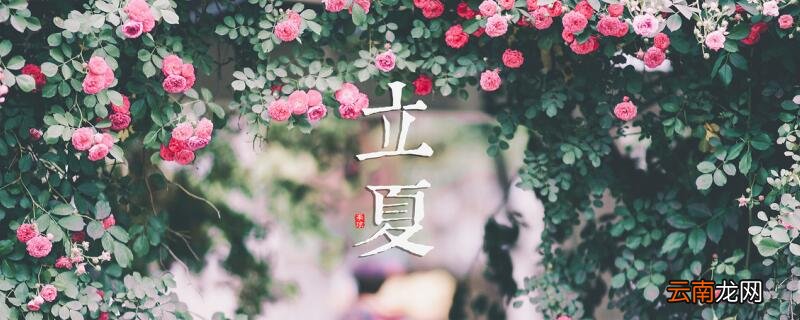 立夏是什么意思 为什么叫立夏