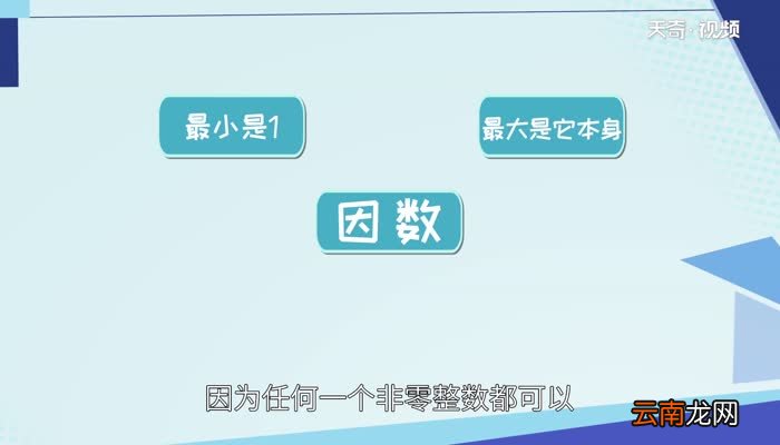 因数是什么 什么是因数