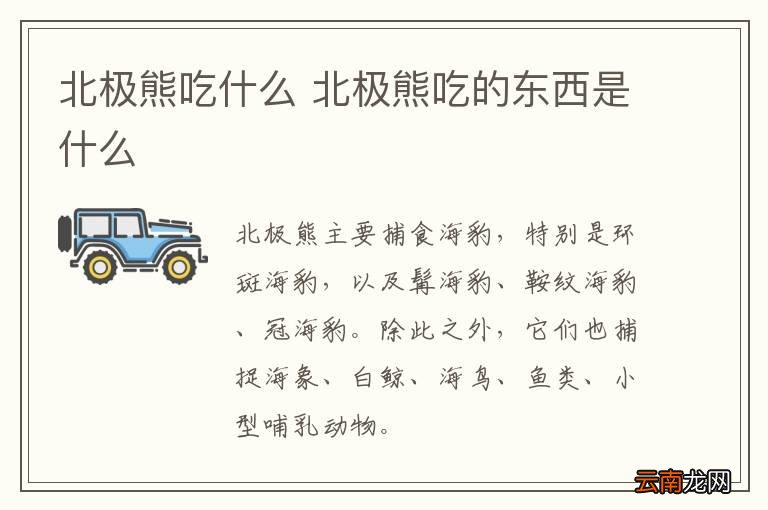 北极熊吃什么 北极熊吃的东西是什么