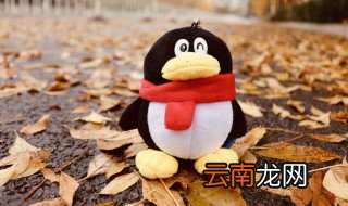 qq空间怎么生成动图 qq空间如何制作动图
