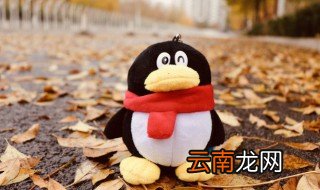qq怎么换字体，qq怎么换字体设置