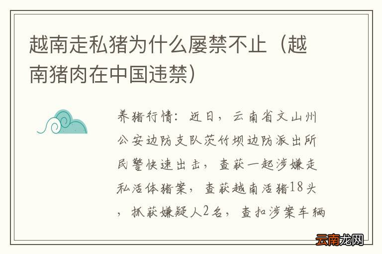 越南猪肉在中国违禁 越南走私猪为什么屡禁不止
