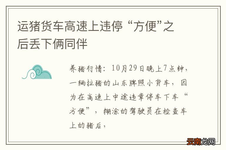运猪货车高速上违停 “方便”之后丢下俩同伴