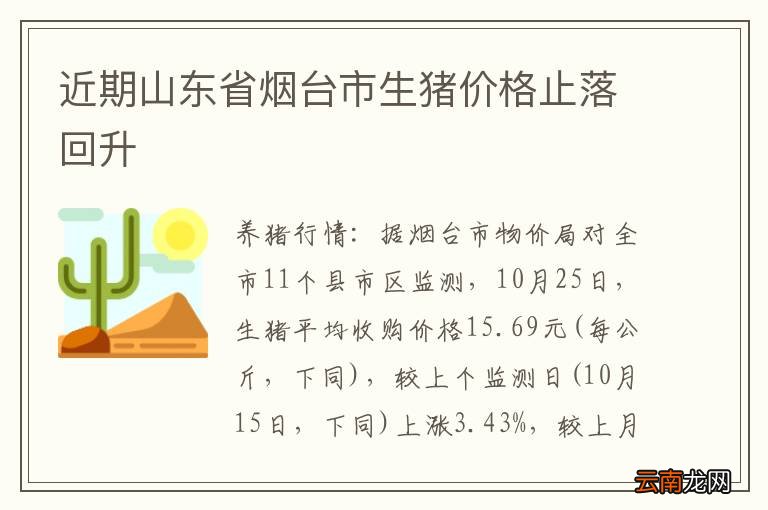 近期山东省烟台市生猪价格止落回升