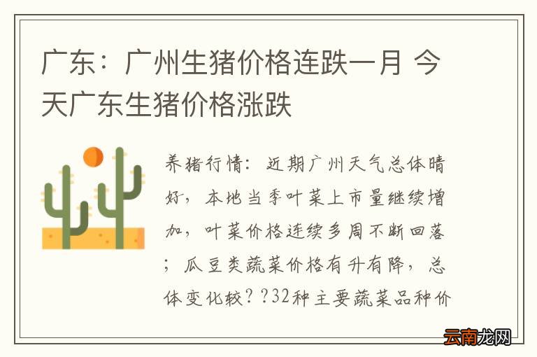 广东:广州生猪价格连跌一月 今天广东生猪价格涨跌