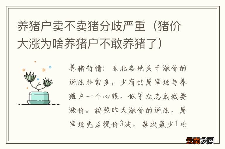 猪价大涨为啥养猪户不敢养猪了 养猪户卖不卖猪分歧严重