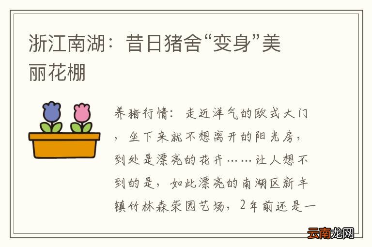 浙江南湖：昔日猪舍“变身”美丽花棚