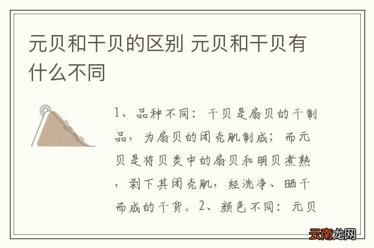 元贝和干贝的区别 元贝和干贝有什么不同