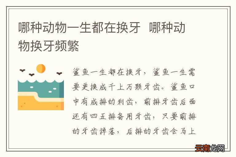 哪种动物一生都在换牙哪种动物换牙频繁