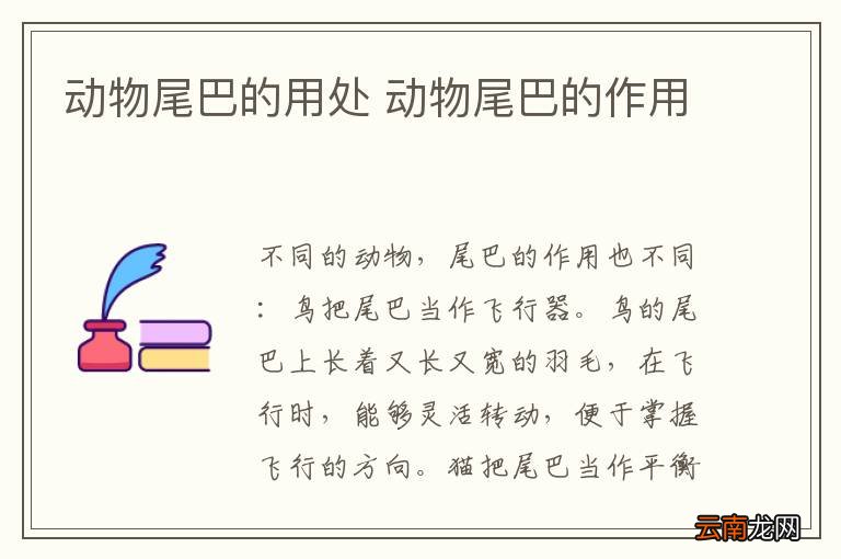 动物尾巴的用处 动物尾巴的作用