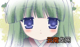 初学者水彩买什么样的好 看这里