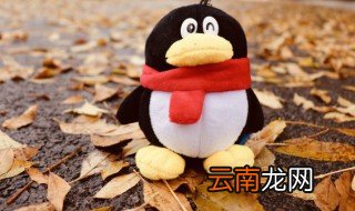 qq怎么改实名认证身份证号码 QQ怎么改实名