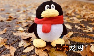 qq日记怎么删除 qq的日志怎么删除