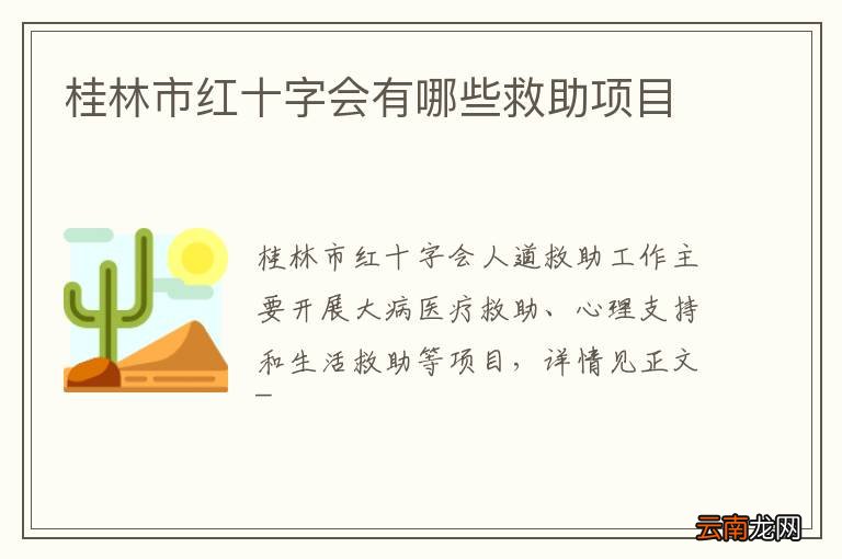 桂林市红十字会有哪些救助项目