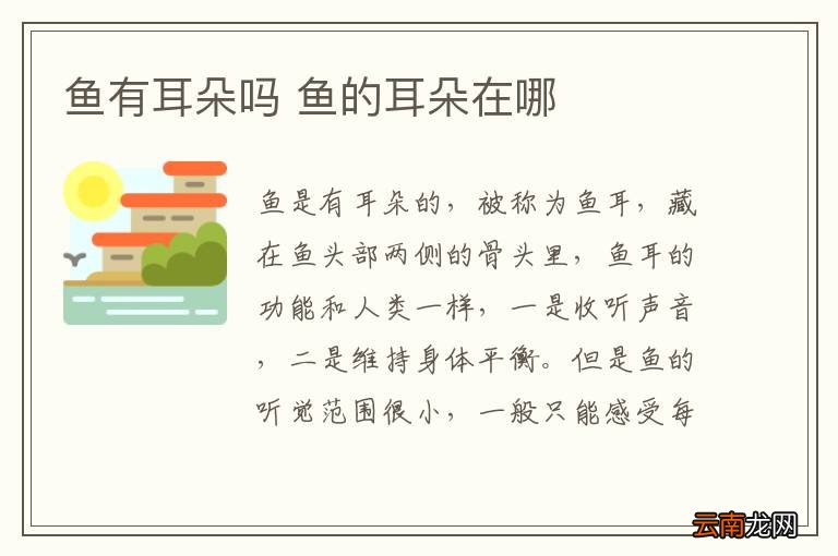 鱼有耳朵吗 鱼的耳朵在哪