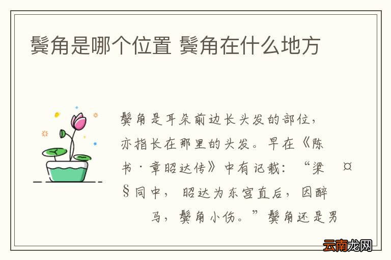 鬓角是哪个位置 鬓角在什么地方