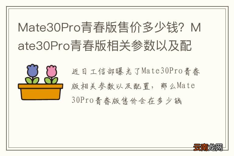 Mate30Pro青春版售价多少钱？Mate30Pro青春版相关参数以及配置