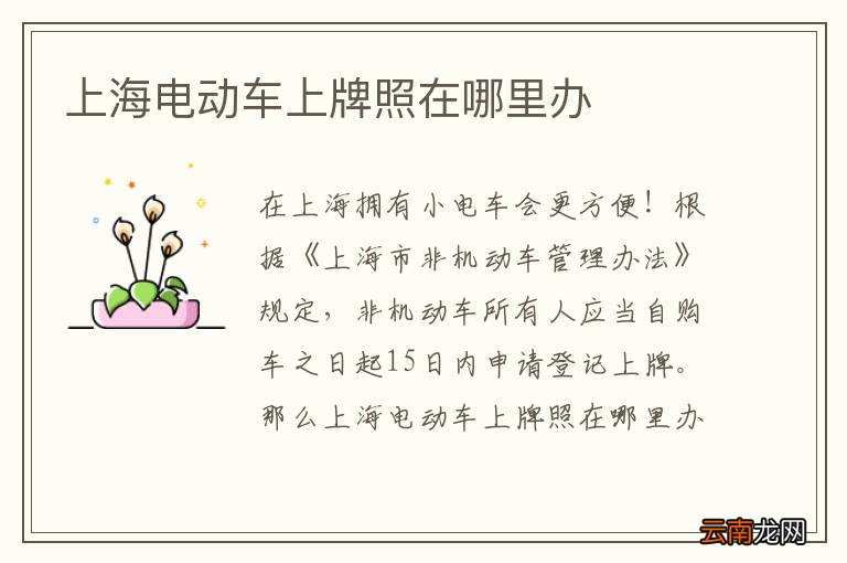 上海电动车上牌照在哪里办