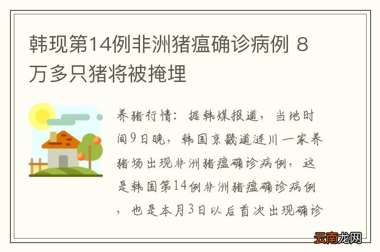 韩现第14例非洲猪瘟确诊病例 8万多只猪将被掩埋