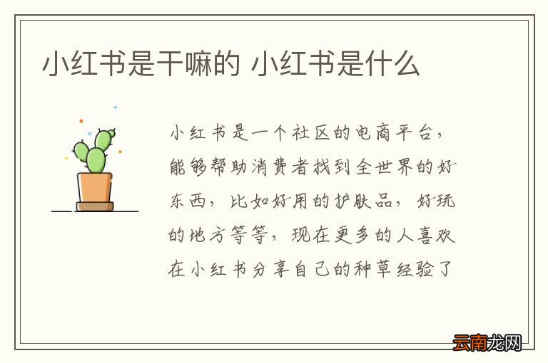 小红书是干嘛的 小红书是什么