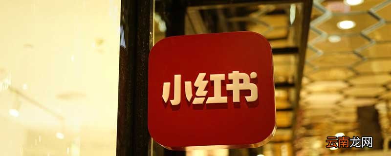 小红书是干嘛的 小红书是什么