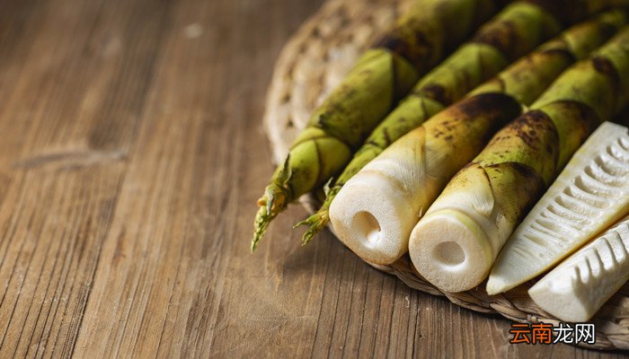竹笋苦怎么快速去苦 如何去除竹笋的苦味