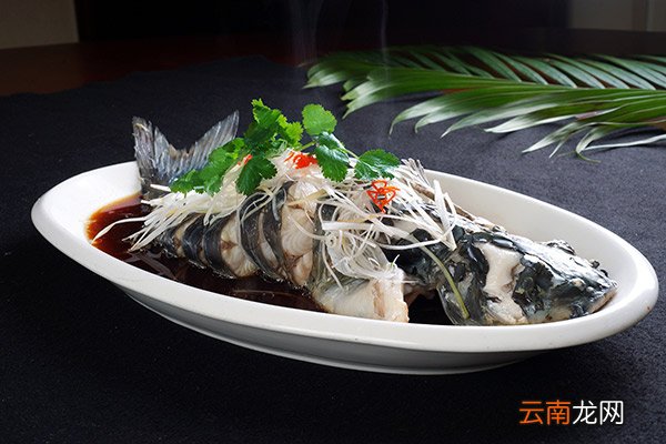 鲈鱼的功效与作用 鲈鱼的功效与作用是什么