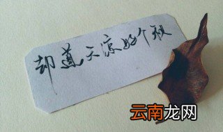 却道天凉好个秋全诗 作者是谁