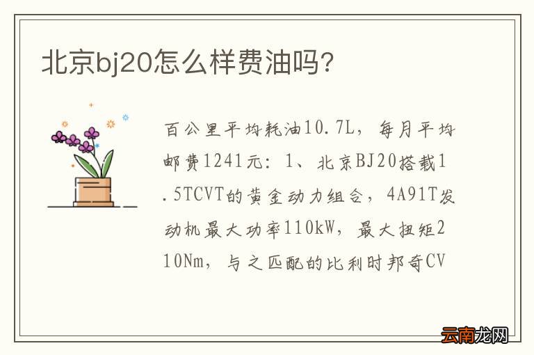 北京bj20怎么样费油吗?