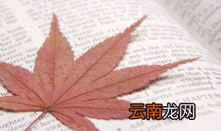 美国用英语怎么说 美国翻译是什么