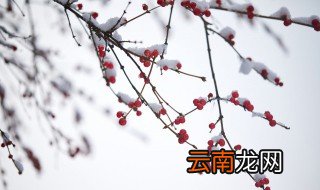 描写雪景的唯美句子 写雪景超唯美的短句