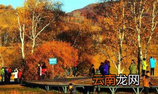 落叶的秋唯美句子 落叶的秋句子举例