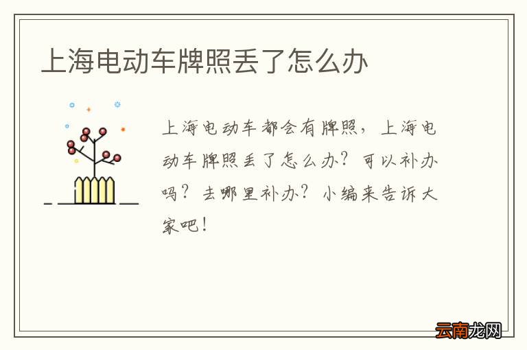 上海电动车牌照丢了怎么办