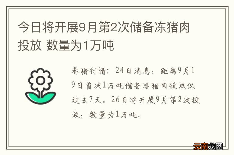 今日将开展9月第2次储备冻猪肉投放 数量为1万吨