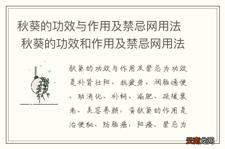 秋葵的功效与作用及禁忌网用法 秋葵的功效和作用及禁忌网用法省