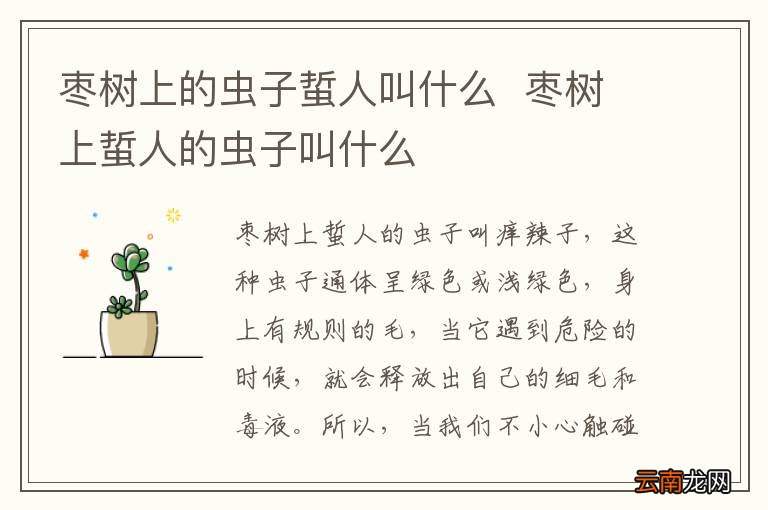 枣树上的虫子蜇人叫什么枣树上蜇人的虫子叫什么