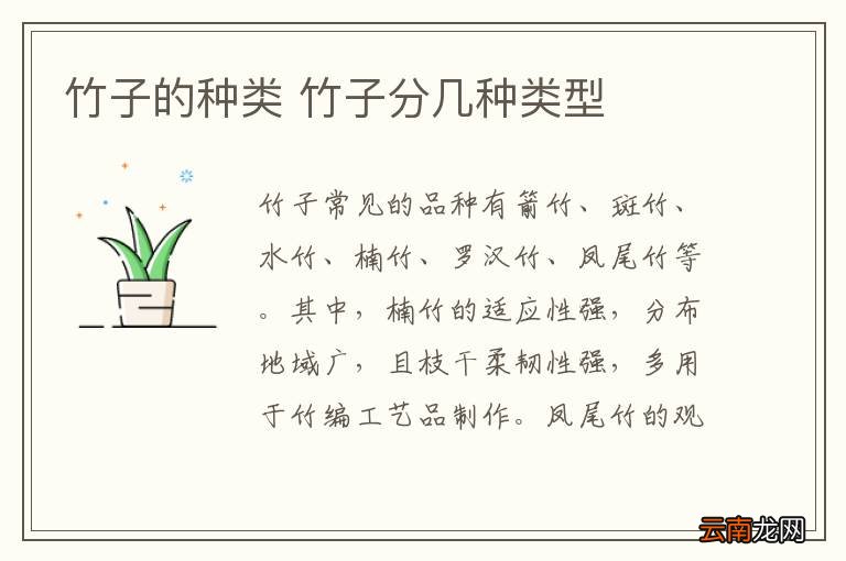 竹子的种类 竹子分几种类型