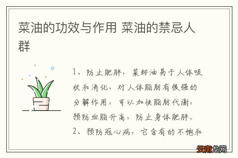 菜油的功效与作用 菜油的禁忌人群