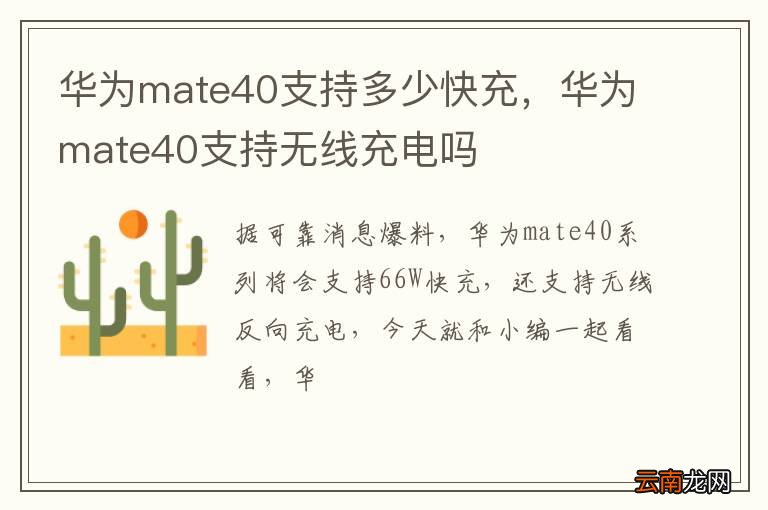 华为mate40支持多少快充，华为mate40支持无线充电吗