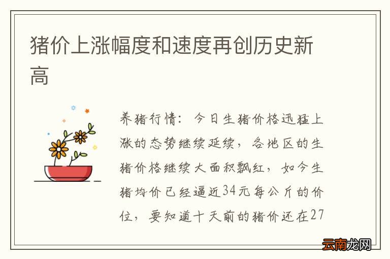 猪价上涨幅度和速度再创历史新高