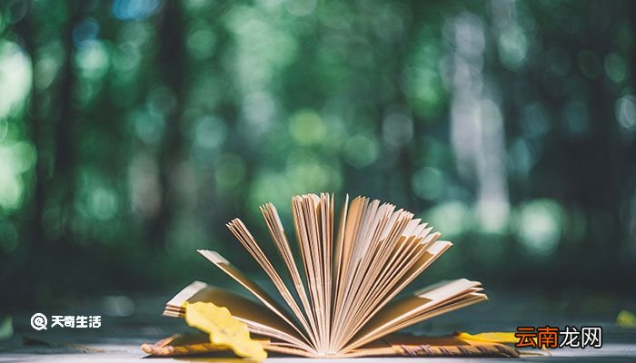 更上一层楼打一成语 更上一层楼打一成语是什么